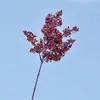 Ramo Único 8 Pontas Espuma Espinho Fruta Flor Artificial Flor Falsa Decoração Suave para Casa Casamento Hotel Fotografia Materiais para Arranjo Floral