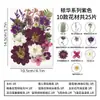 Flores prensadas, flores secas, resina DIY, adereços de fotografia, maquiagem facial, marcadores de página de flores prensadas, folhas reais, espécimes de plantas, adesivos decorativos