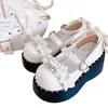 Moda Diaria 2025 con Dulces Faldas Nuevas, Zapatos de Cuero Estilo Soft Girl, Versátiles y Lindos Zapatos Mary Jane de Suela Gruesa Lolita