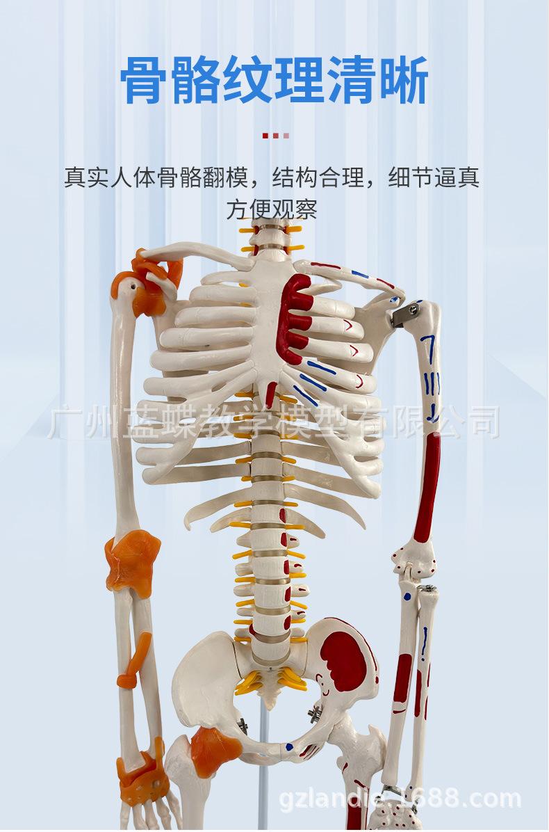 详情_04