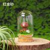 Cristal Natural Pedra Bruta Cogumelo Micro Paisagem Mineral Marca Garrafa Ornamento Cristal Jade Cogumelo DIY Garrafa dos Desejos Garrafa de Deriva