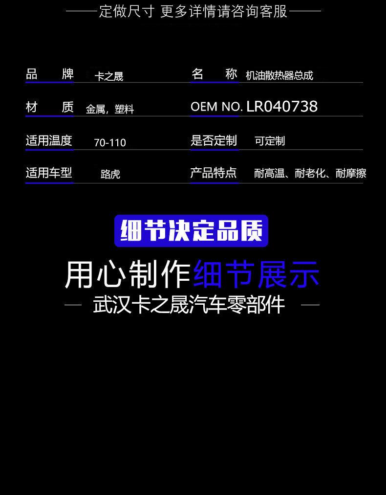 LR040738