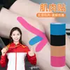 Cinta Deportiva, Cinta Muscular, Equipo Deportivo Elástico, Equipo de Protección Deportiva, Cinta de Efecto Muscular, Cinta para el Pecho, Cinta Muscular