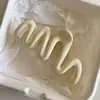 Novo Presilha de Cabelo de Desenho Animado 2026 para Mulheres, Presilha de Tubarão de Alta Qualidade para Cabelos Grossos, Presilha de Cabelo Dopamina, Penteadeira Exquisita