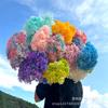 [Anna solteira] Hortênsia Eterna Anna Ramo Inteiro Hortênsia Flor Organizar Flor Fotografia Adereços Decoração