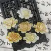 Amarillo, Blanco, Negro, Rosa Concha Tallada Peonía Mariposa Concha Tallada Joyería Estilo Antiguo Broche Pasador Concha Materiales DIY