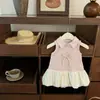 Niñas 2025 Nuevo Verano Falda de Capullo Esponjosa Chaleco Vestido de Princesa Dulce Rosa para Bebé