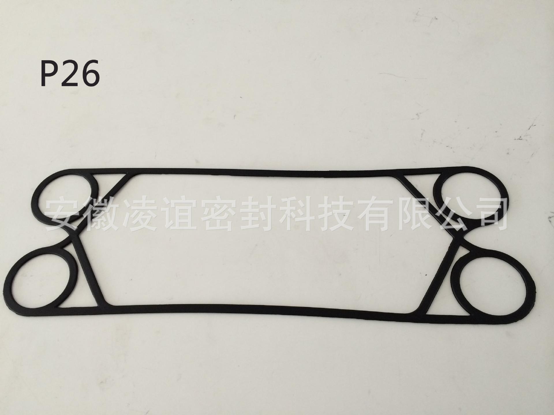 P26.JPG