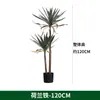 Cacto Cacto Em Vaso Plantas Verdes Falsas Tropicais Paisagismo de Deserto Plantas Verdes Falsas Enfeites Decorativos de Cacto