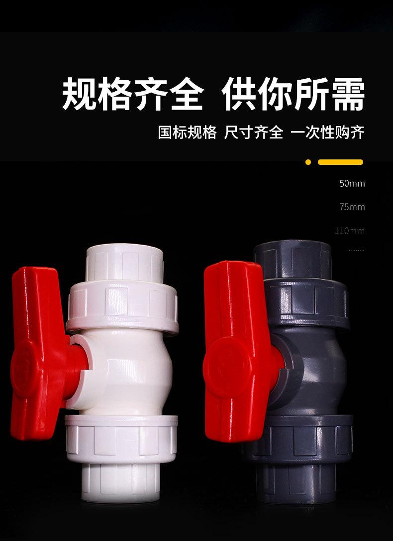 PVC双活接球阀_05.jpg