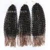 Peluca de Fibra Química Ola de Agua Trenzas Passion Twist Fabricante de Dropshipping Mayorista