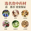 Creme Herbal para Hemorroidas de Yunnan Extrato Herbal Cuidado Suave E-commerce Transmissão ao Vivo Dropshipping