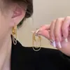 Pendientes de Plata de Ley S925 con Aguja y Borla Larga de Metal para Mujer, Pendientes de Diseño de Lujo Ligero, Joyería para Orejas Versátil y de Moda, con Temperamento