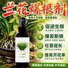Agente Especial Estimulante de Raíces para Plantas de Orquídeas, Solución Nutritiva Especial para Orquídeas, Previene el Marchitamiento de las Hojas, Promueve el Enverdecimiento, Enraizamiento, Floración, No Requiere Dilución