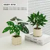 Plantas Verdes, Vasos Pequenos, Árvore da Fortuna Semelhante para Mesas de Escritório Internas, Mesas de Centro de Sala de Estar, Flores Artificiais e Arranjos Florais