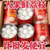 Lichis frescos premium enlatados, caja completa, fruta de temporada con pulpa carnosa, latas metálicas comerciales de 312 g, fruta fresca al por mayor