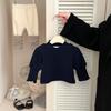 Ropa para Niñas 2025 Otoño Nuevo Estilo Manga Princesa Estilo Coreano Casual Camiseta para Niños Moda Bebé Primavera y Otoño Camiseta Básica