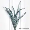 Algodão de Xinjiang Flores Secas Luxo Eterno Buquê Real Pinhões Naturais Secos ao Ar Kit de Material DIY Ornamentos Decorativos Estilo Ins