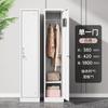 Casillero de Acero Engrosado Simple Moderno Casillero Simple con Cerradura Dormitorio Empleado Tipo Cajón Oficina Piso
