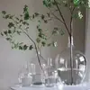 Nuevas decoraciones de jarrón reloj colgante madera borracha verde oscuro cuello delgado jarrón de vidrio con forma de botella de vino jarrón para sala de estar