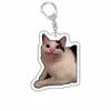 Rana Acrílico Souvenir Mascota Perro Expresión Perro y Gato Colgante Creativo Foto Llavero Otros