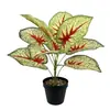 Planta Verde Simulada Separador Plantas Verdes Adornos para Sala de Estar Decoración de Planta en Maceta Hojas de Planta Paisajismo de Pared Interior Hojas Verdes