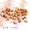 Pacote de Material de Flores Secas Espécime Jardim de Infância Casca de Fruta Caseira Flor Seca Bolota Porta-Retrato Espécime Pinha Porta-Retrato DIY Feito à Mão