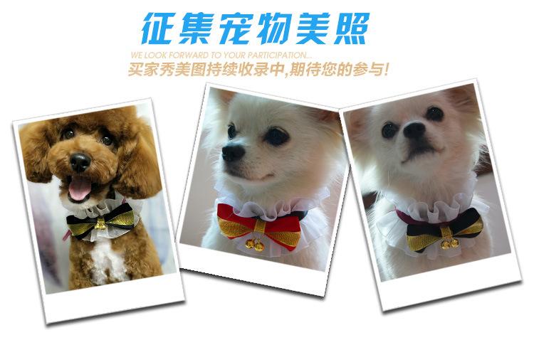 晒图psd.jpg