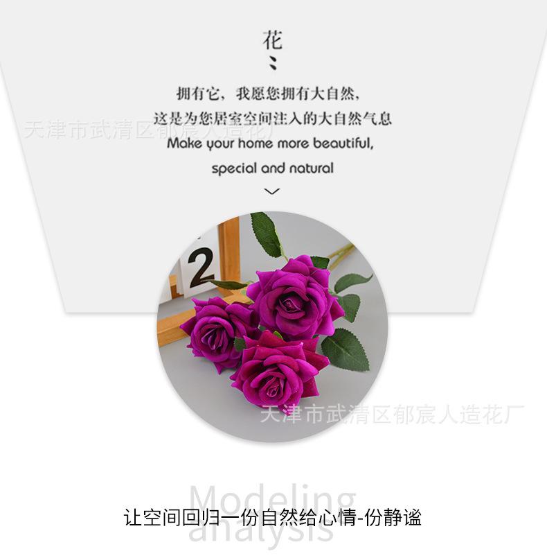 详情_06.png
