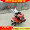 Suministro de Rotocultivador Pequeño a Pie Gasolina Microcultivador Shidong Máquina Desmalezadora Afloja Suelo para Huerto Invernadero Fabricante