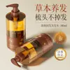 Champú Anticaída y Fortalecedor del Cabello con Extracto Herbal de Hoja de Platycladus, Reduce la Rotura del Cabello, Controla la Grasa, Champú Refrescante y Voluminizador