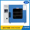 Horno de Alta Temperatura Shite Instrument DHG-9123A Horno de Envejecimiento de Goma Componentes Digitales Caja de Secado por Envejecimiento