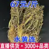 Ganoderma Acuático, Coptis Acuático, Loto Amarillo Acuático, Hierba de Hiel de Pescado Nuevas Llegadas Venta al por Mayor Dropshipping