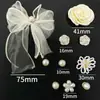 Nuevo Estilo Zueco Zapato Hebilla Decoración Accesorios Organza Rosa Accesorios de Moda DIY Flor de Zapato Desmontable Accesorios