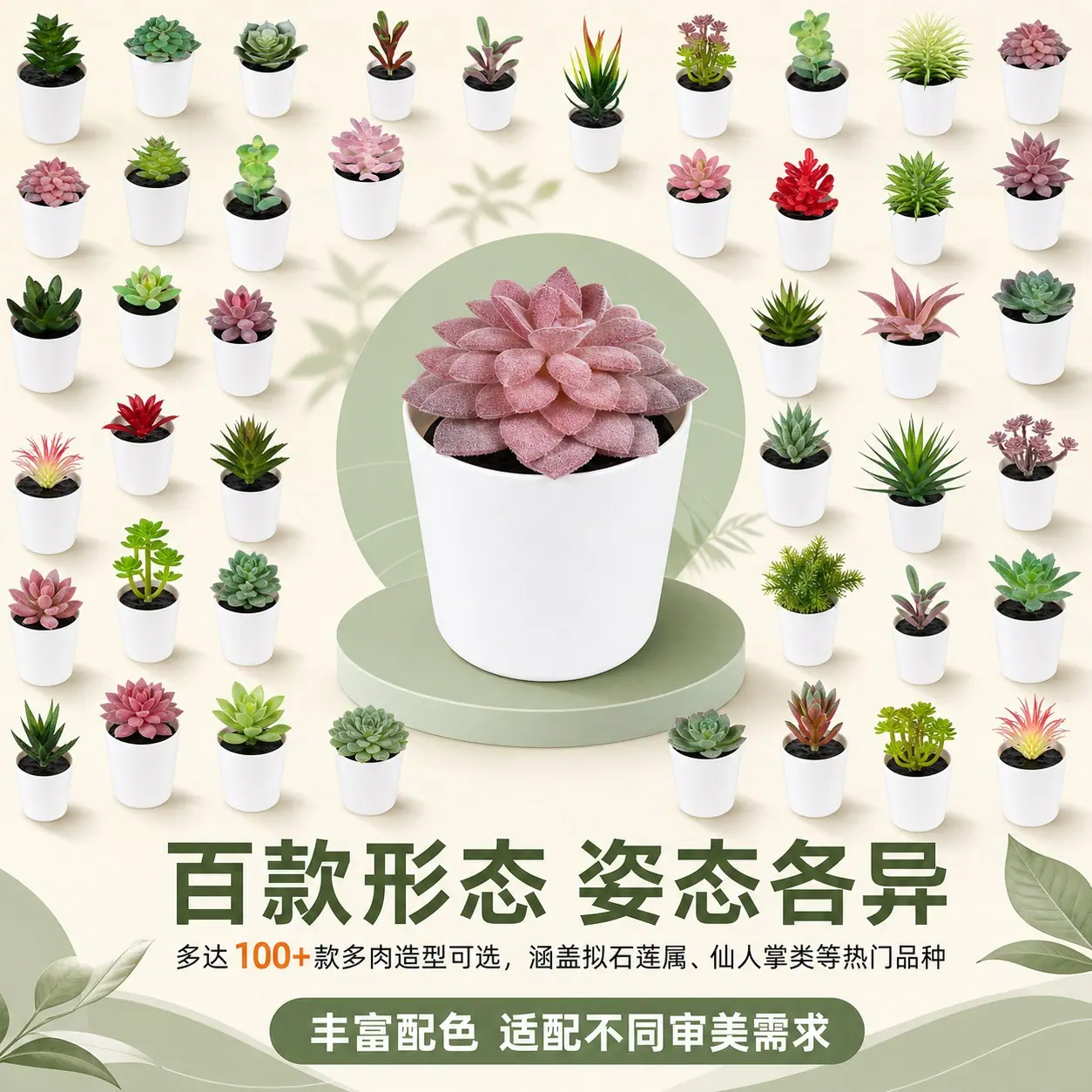 1301多肉详情页 (2).jpg