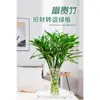 Bambu da Guan Yin, Bambu Atrator de Sorte, Flor de Raiz Hidropônica, Planta Verde Atratora de Riqueza, Cesta de Jiboia, Planta de Vaso Fácil de Cuidar para Uso no Escritório