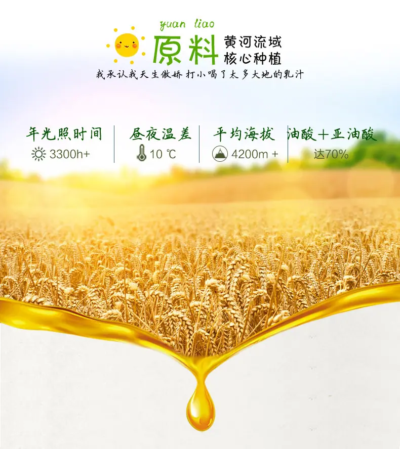 小麦胚芽详情_05.jpg