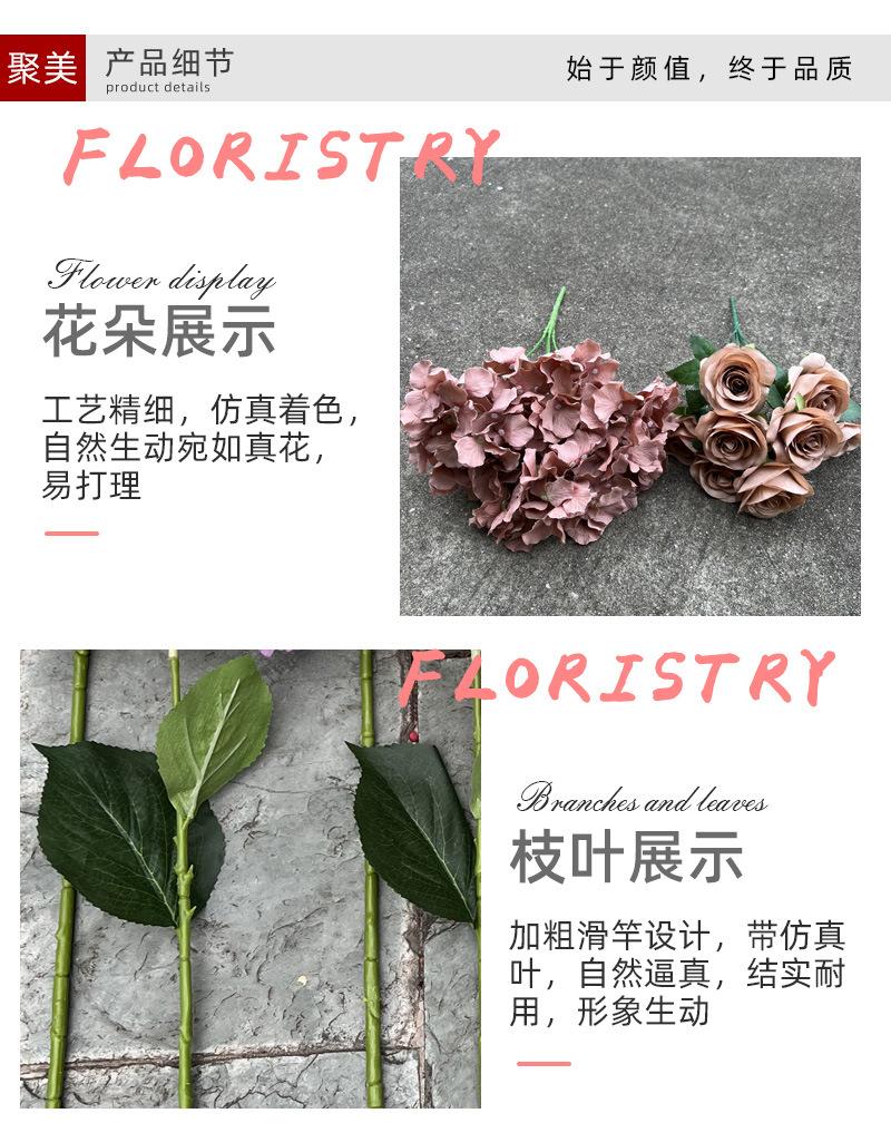 中号飞燕草-详情_04.jpg