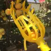 Herramienta para Recoger Bayas de Encina, Recolector Telescópico de Frutas de Gran Altura, Tijeras Manuales para Recoger Frutas, Recolección de Frutos del Nispero