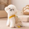 Roupas para Cães Pequenos Outono e Inverno Veludo Cotelê Patch Arco-Íris Roupa de Quatro Patas Forrada com Lã Quente para Cães Pequenos e Médios Roupas para Pets