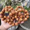 Pulseira de cicatriz quente Yabai contas de Buda Wenwan barraca transmissão ao vivo fornecimento entrega em peça única
