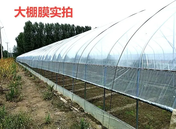 大棚膜实拍