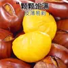 Castañas Frescas Crudas 2025 de Dandong, Castañas Crudas de Temporada, Castañas Frescas, Castañas Silvestres Tiernas Recién Recolectadas, Granos de Castaña Grandes