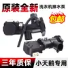 Máquina de Lavar Pequena com Rolo XPQ-6C2 QA12-99 Bomba de Drenagem TG70 80 90 100-1411DXS