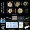 Planta seca flor coaster molde silicone abrasivo ferramenta em relevo cristal artesanal epóxi diy material resina AB cola caseira