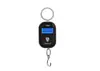 WeiHeng Weiheng WH-A21 mini portátil plástico portátil eletrônico balança de pesca 25kg fábrica atacado