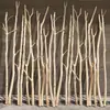 Galhos Secos, Troncos, Galhos Secos, Galhos Secos para Sala de Estar, Galhos Secos Brancos Naturais para Pousada, Hastes de Divisória para Jardim de Infância, Metabo