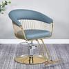 Silla de Peluquería Famosa en Internet Transfronteriza Silla de Peluquería Reclinable Silla Profesional de Salón de Peluquería Sillón Reclinable para Corte de Cabello Silla Giratoria Elevable para Permacología y Teñido