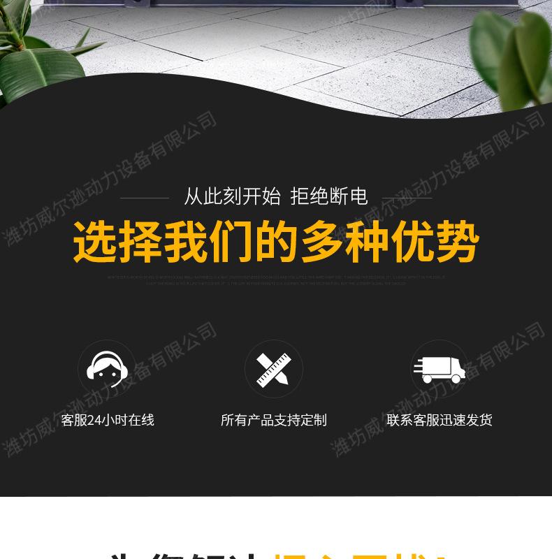 200kw柴油发电机组_02.jpg