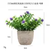 Más de 100 Tipos de Plantas Verdes Más Vendidas Transfronterizas, Combinaciones de Plantas en Macetas Mini de Pulpa de Papel, Flores Artificiales, Bonsáis Simulados, Adornos para Decoración del Hogar